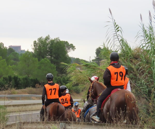 RAID HIPIC BALSARENY – RESULTATS I FOTOGRAFIES